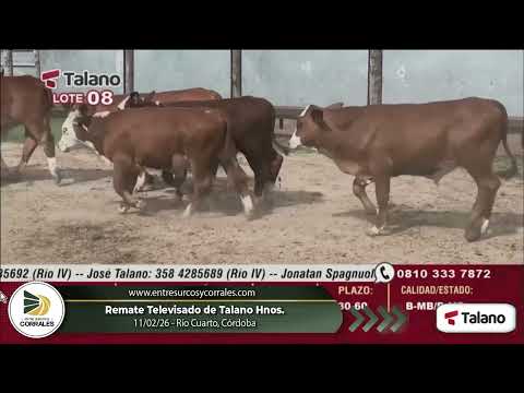 11-02-26 - Remate Televisado de Talano Hnos. -  Río Cuarto, Córdoba