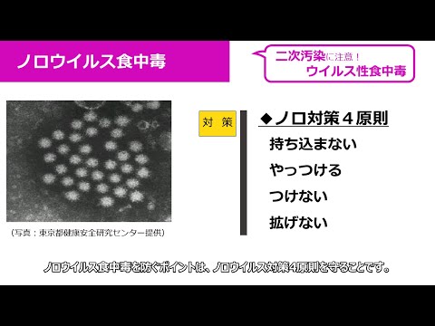 食中毒の疫学講座 食中毒の疫学講座 食中毒の疫学講座 (食品安全叢書シリ-ズ