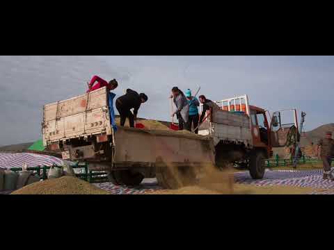 L.Surult, A.Tumen-Ulzii-Tarialangiin namar/ Л.Сөрөлт, А.Түмэн-Өлзий-Тариалангийн намар/