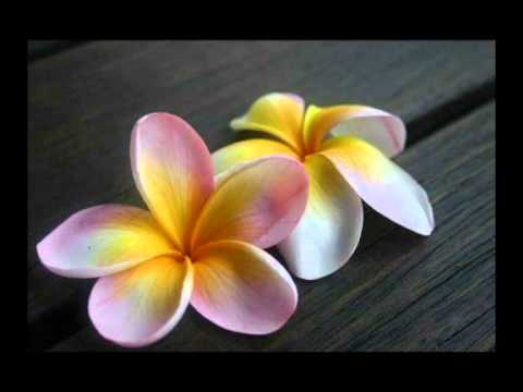 DJ Wallis one ft Tama jay // OI FINEMUI........@@ ofa atu @@