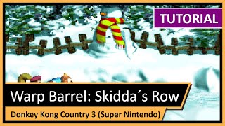 Capa de Skidda's Row