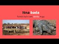 Amazing Facts About Crocodile Crocodile Sleeping One Eye Open Did You Know Crocodile CRFacts
