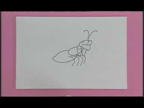 Pappyland's Search for the Secret Treasure