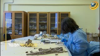 Կա՞ արդյոք թուրք-արաբական հետք հայի գենոֆոնդում