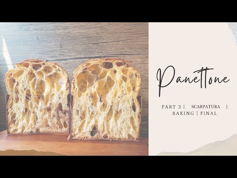 Part 3 | How to make Sourdough Panettone at Home