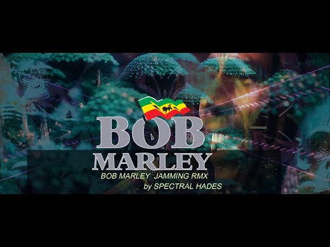 PSY-TRANCE ◉ Bob Marley Jamming 2024