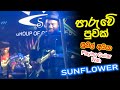 පාරුවේ පුවක් GYPSIES සුනිල් අයියා Playing Guitar With SU