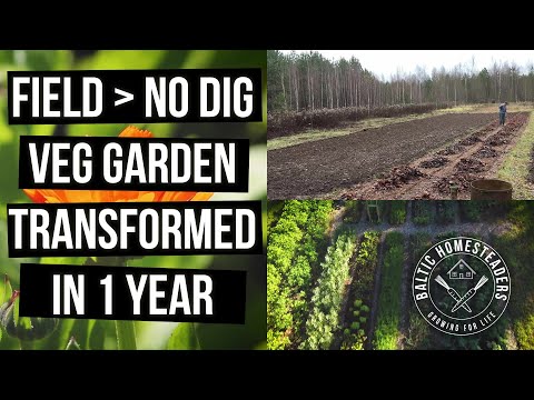 No Dig Vegetable Garden Transformation in 1 Year