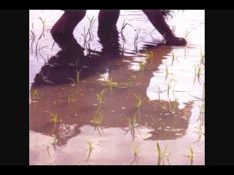 rice planting songs - tv pow