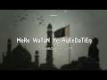 Mere Watan Ye Aqeedatien Slowed And Reverb|14 August Song|Hammad Ali Shah|SlowedAndReverb Song Lover