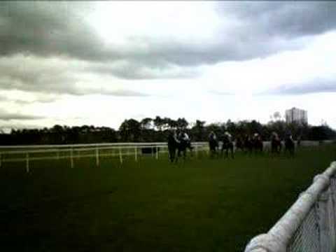 Rennen auf der Kölner Rennbahn