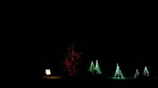 Jingle Bells Amy Grant Light O Rama