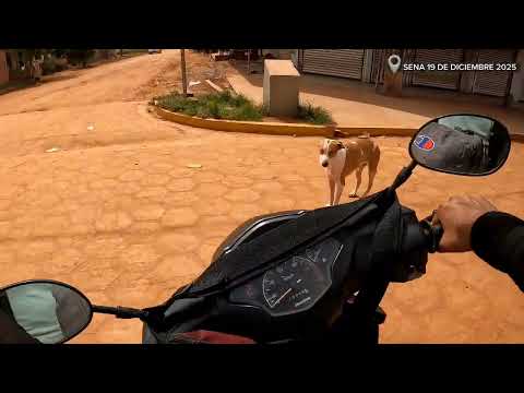 Nadie habla de Sena, pero todos pasan por aquí | Pando