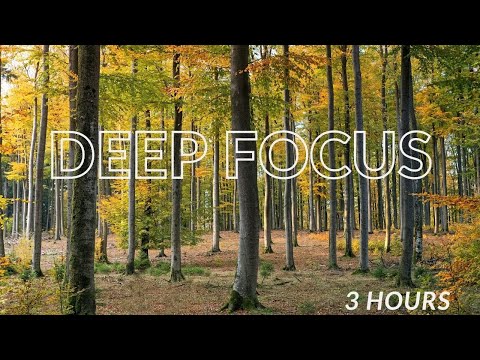 Crickets Sound and Birdsong, the Rustle of Grass - 3 hours of Nature Relax