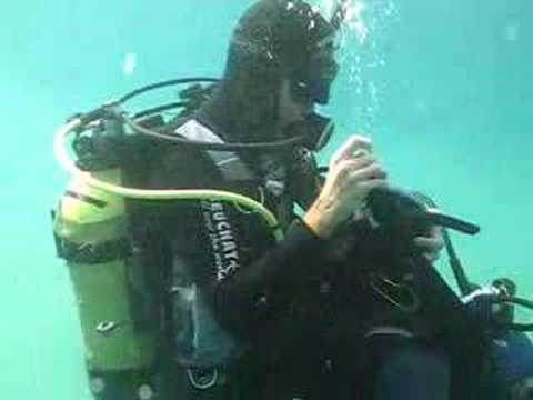 aktif balık adam eğitim 8