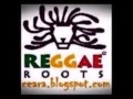 Bunny wailer iron shirt 