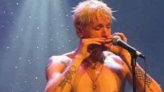 Take a Walk on the Wild Side.mpg