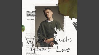 What Sucks About Love Music Video