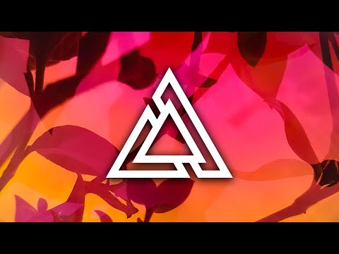 RYLLZ - I Gotta Know