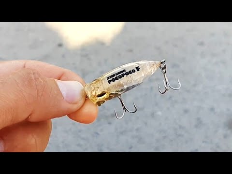 Light rock fishing in Turkey with Tetra Works