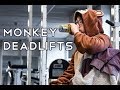 MoNkEy DeAdLiFtS Workout | PR Maxouts