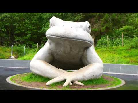 Erik Satie - La Grenouille Américaine - Anja Lehmann & Ludwig Striegel