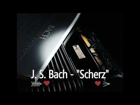 Classical Accordion: J. S. Bach - 'Scherz'  h moll BWV 1067