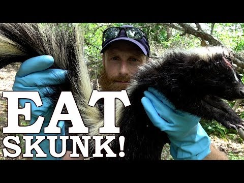 Exactly How to Eat a Skunk!
