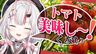 トマト大嫌いなのに毎日トマトジュースを飲む百鬼あやめ、鬼柱になる【百鬼あやめ/ホロライブ切り抜き】