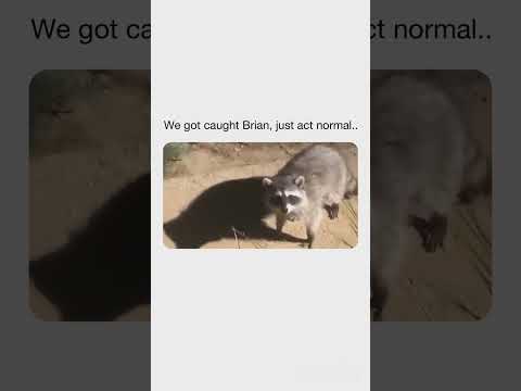 We got Caught😂😂😂