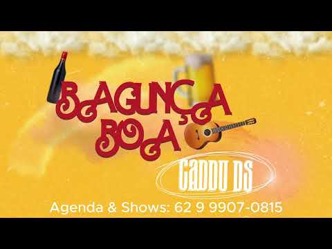 LOOP BAGUNÇA BOA PALMEIRAS DE GOIAS