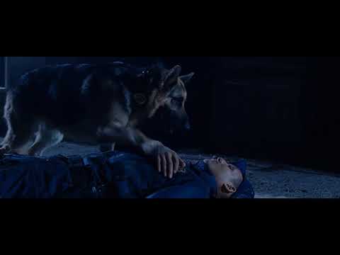 beverly hills chihuahua (2008) - delgado tells chloe how he lost his scent