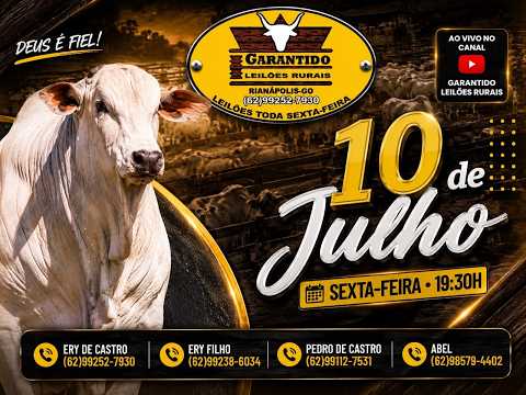 GARANTIDO LEILÕES RURAIS - RIANÁPOLIS-GO