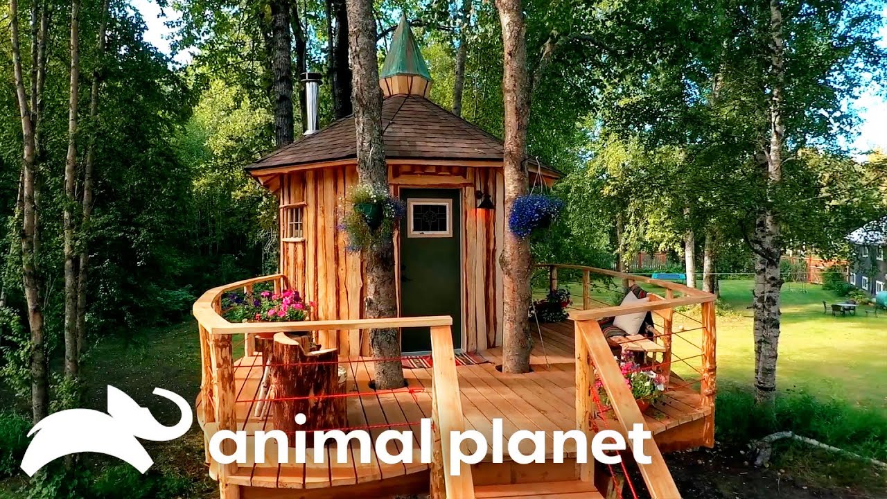 The Most Incredible Treehouses of SEASON 7 | Treehouse Masters | Animal Planet