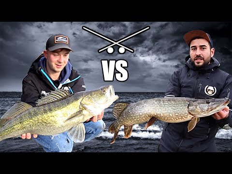 Big L vs. Praktikant - Hechte angeln im Winter in kleinen Gräben