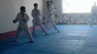 troca de  faixa nindo kan cruzeiro-sp