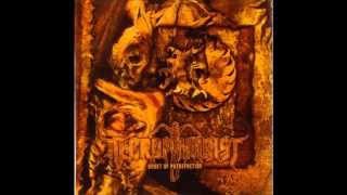Necrophagist - Mutilate The Stillborn