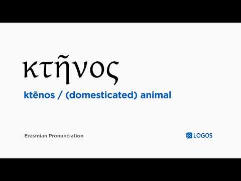 How to pronounce Ktēnos in Biblical Greek - (κτῆνος / (domesticated) animal)