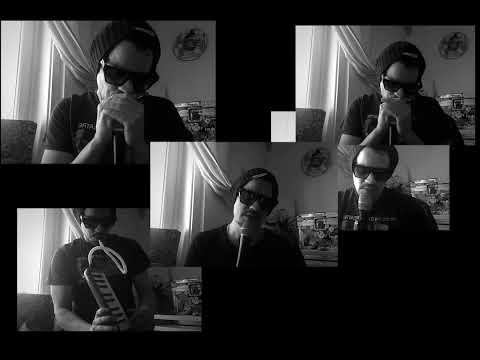 DF Tram - The Librarian (Official Video)