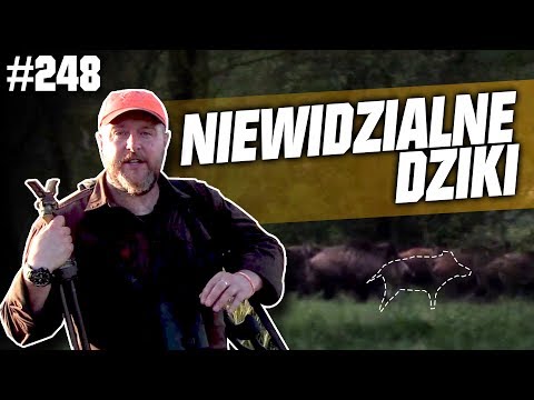Darz Bór odcinek 248 - Niewidzialne Dziki