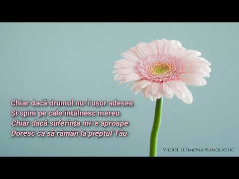 Mesagerii iubirii - Nu pot iubi nu pot ierta fără Tine