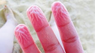 18 JAW-DROPPING BODY FACTS YOU DIDN'T KNOW