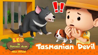 Download lagu AWAS! SETAN TELAH KABUR?!! 😱👿 | Tasmanian Devil | Leo Si Penjaga Alam | #minisode mp3