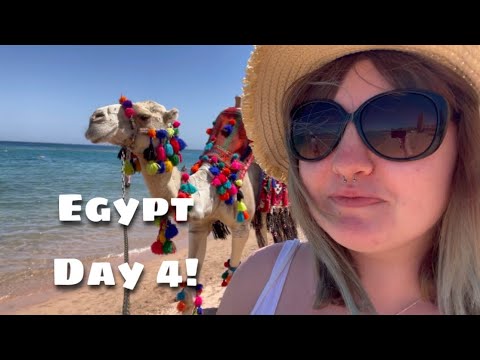 Egypt day 4 ( camels! )