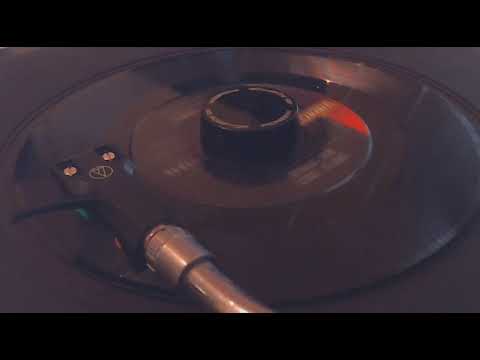 Gary Lewis And The Playboys - 1965 - She's Just My Style - 45 rpm