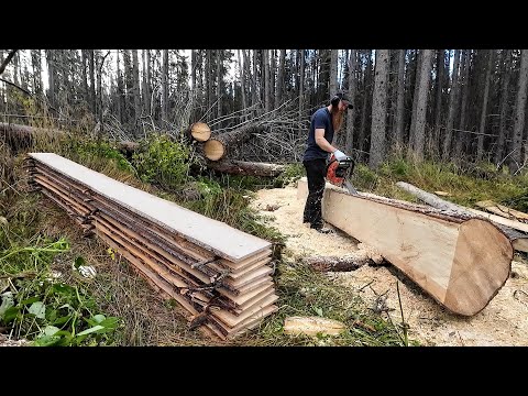 Cutting LONG & THIN Boards Using a Chainsaw...WITHOUT a Mill!