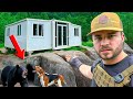 Chinese Tiny Hunting Cabin Caught A Bear In A Cave