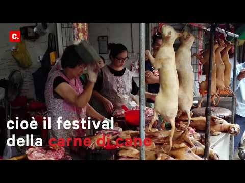 Dolore nelle articolazioni dellanca in un sogno Artrosi delle articolazioni delle mani e dei piedi