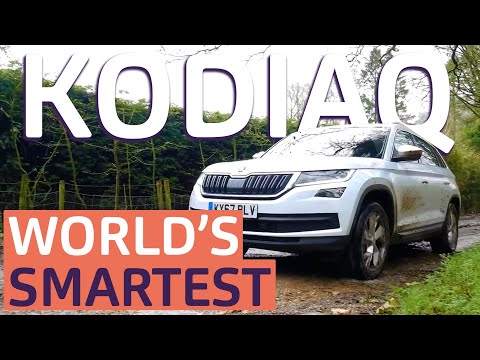 Skoda Kodiaq | Reviewed | Is it smarter than the average bear?