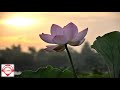 Nee Sooriyan Naan Vennila Thavam Indri Song Whatsapp Status Pan